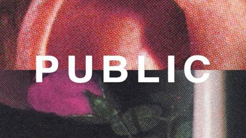 Public Snowboards