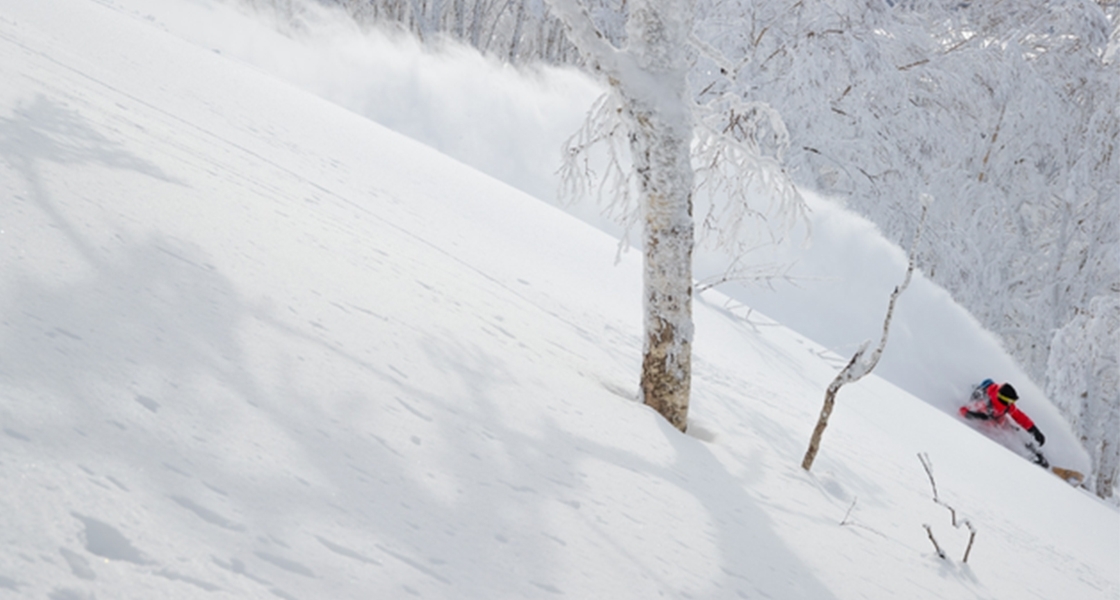Method Mag The 2019 Salomon HPS Taka x Wolle Board Method Mag The 2019 Salomon HPS Taka x Wolle Board