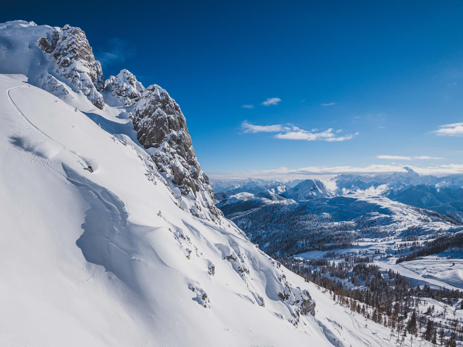 Wish you were there? We wish we were there. Photo. Dan Mullins