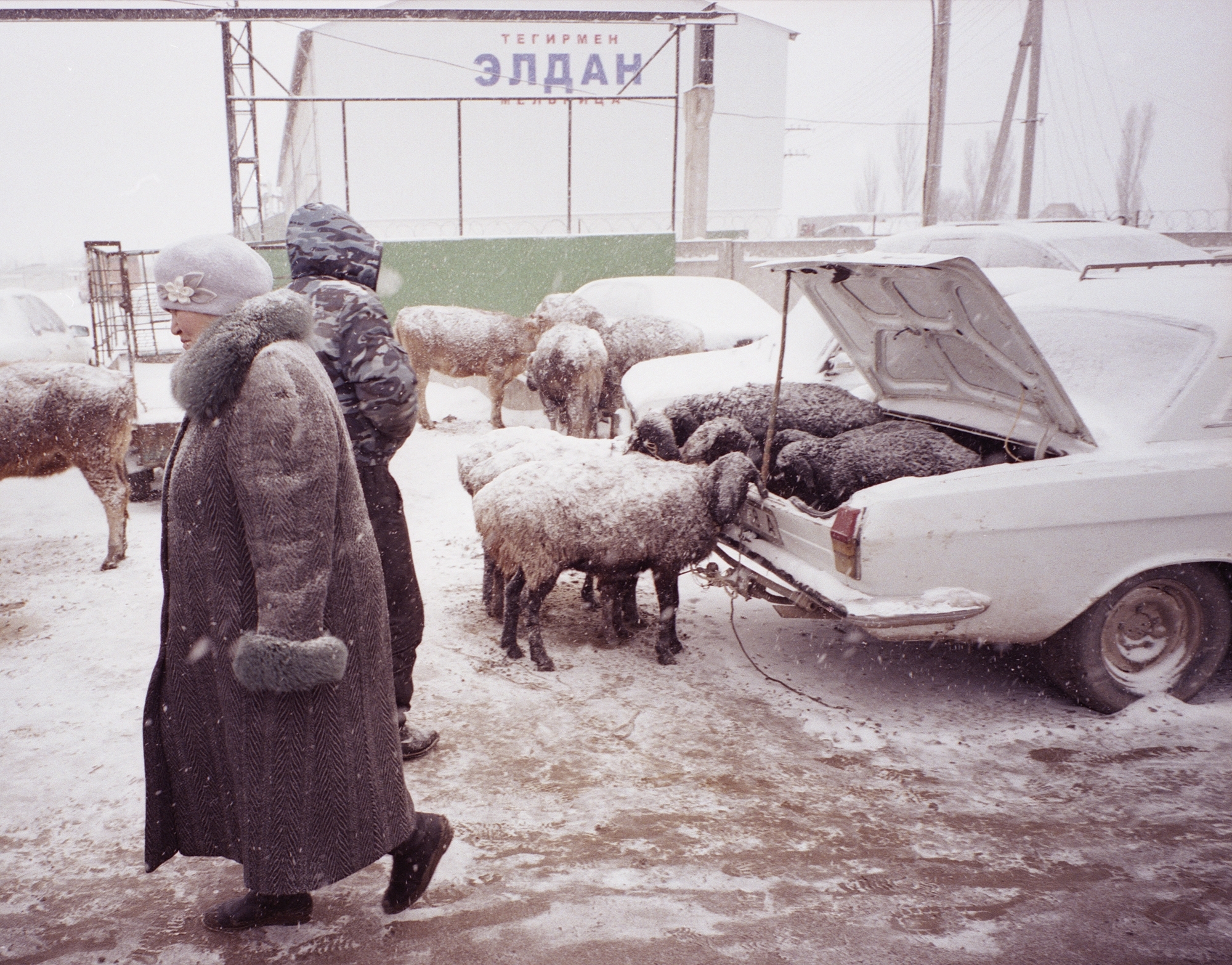 Natura_Fuji_372_animal_market_HD.jpg