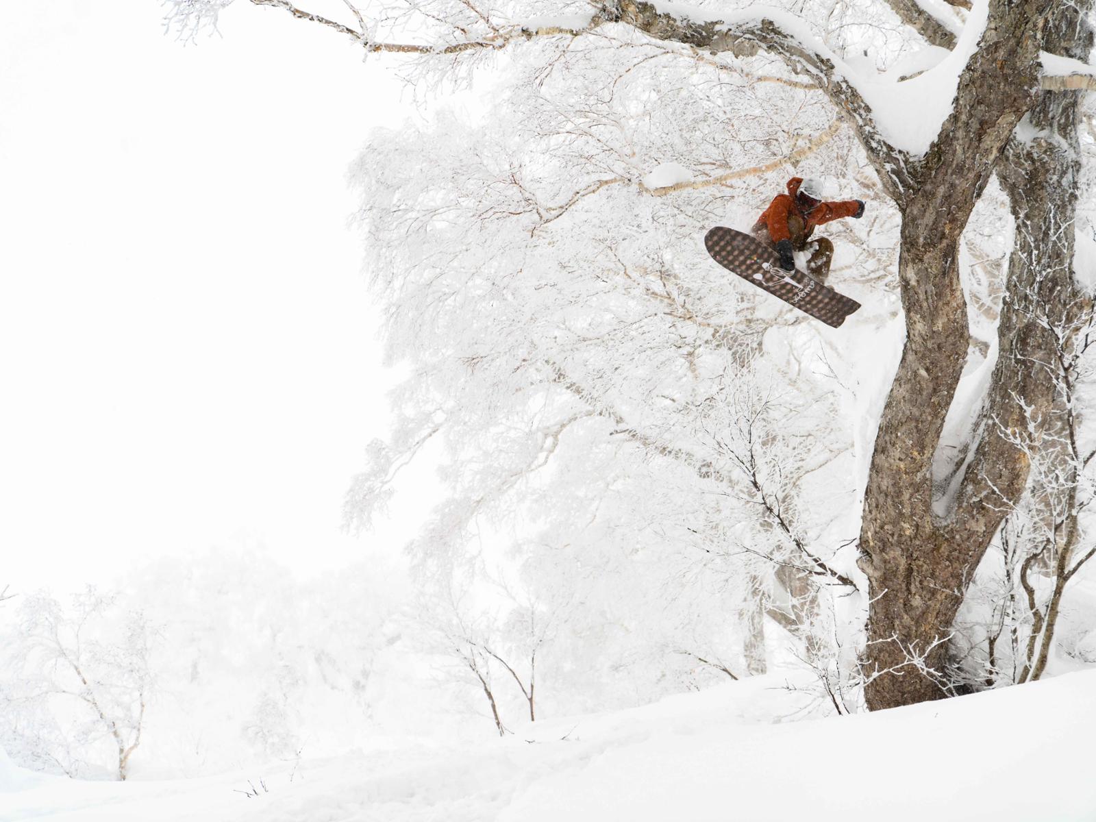 Wolle Nyvelt, tree jam.