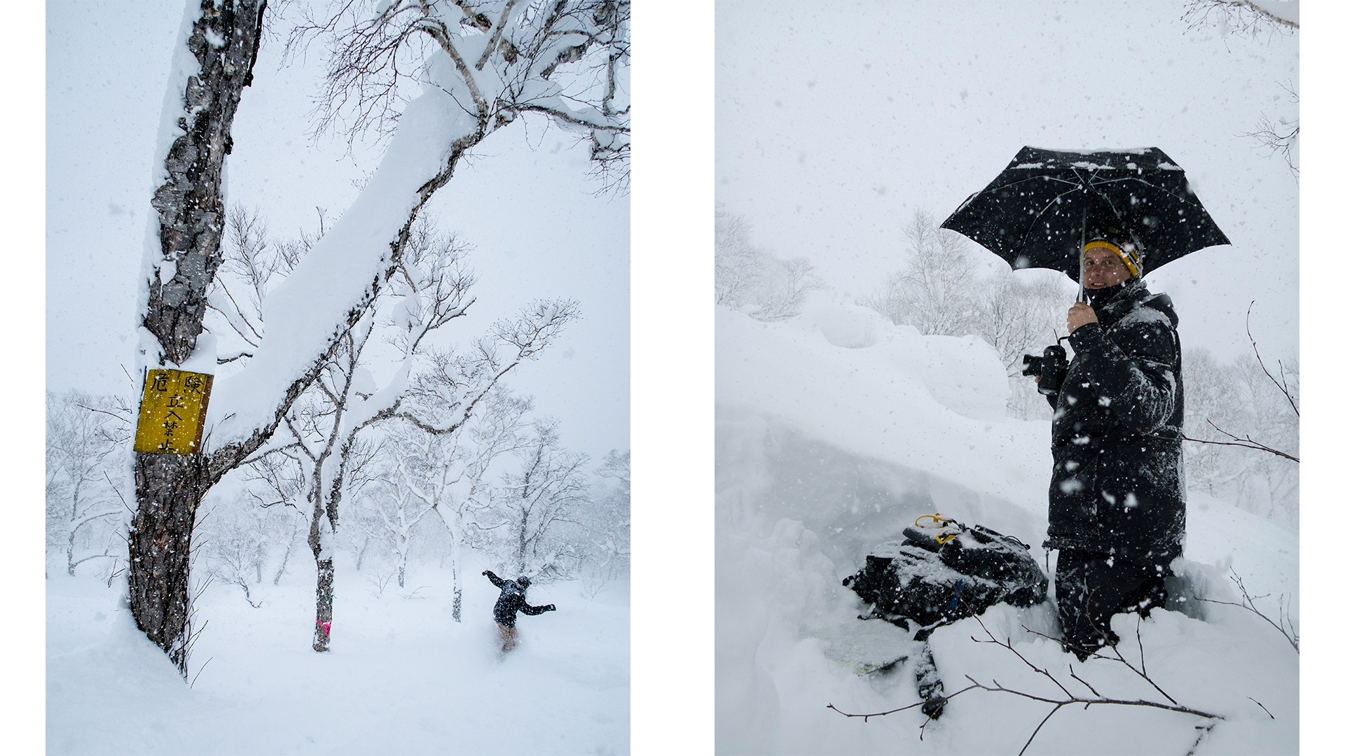 DC-Japan-1.jpg