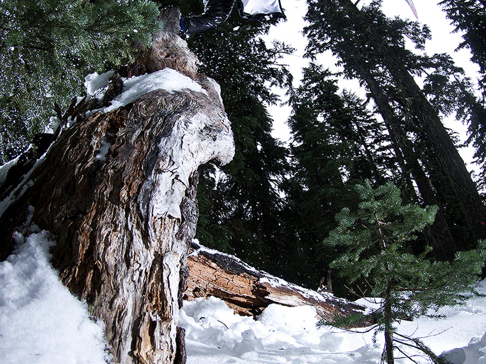 MattGonzales_HandplantBack1_MtBachelor_2012.jpg
