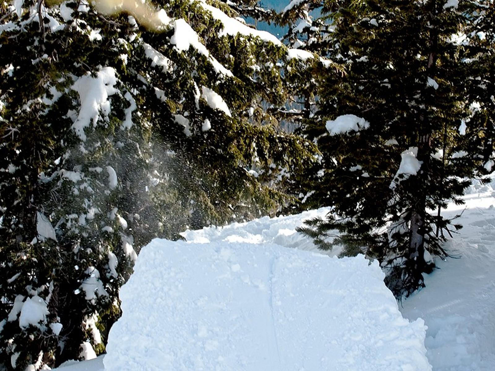 Photo_tylerorton_Rider_MaxWarbington_MtBachelor_backside180.jpg