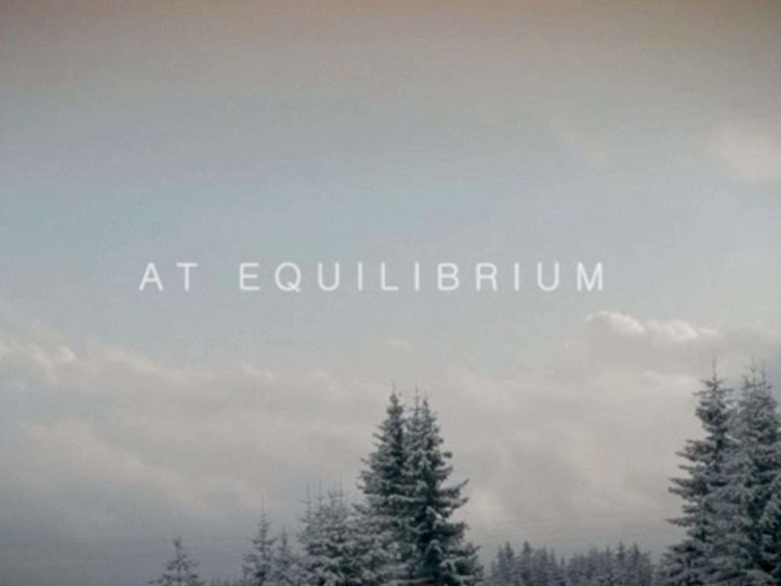 In_Equilibrium.jpg
