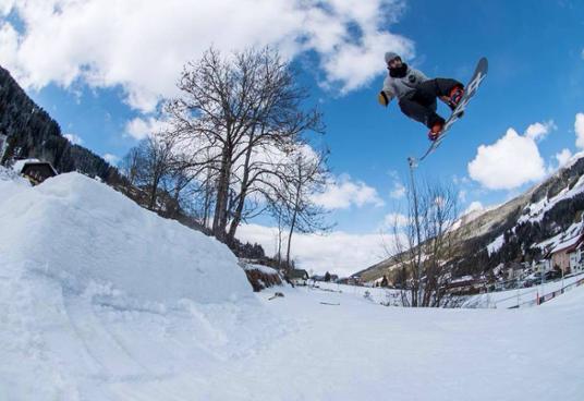 Harley Trivic