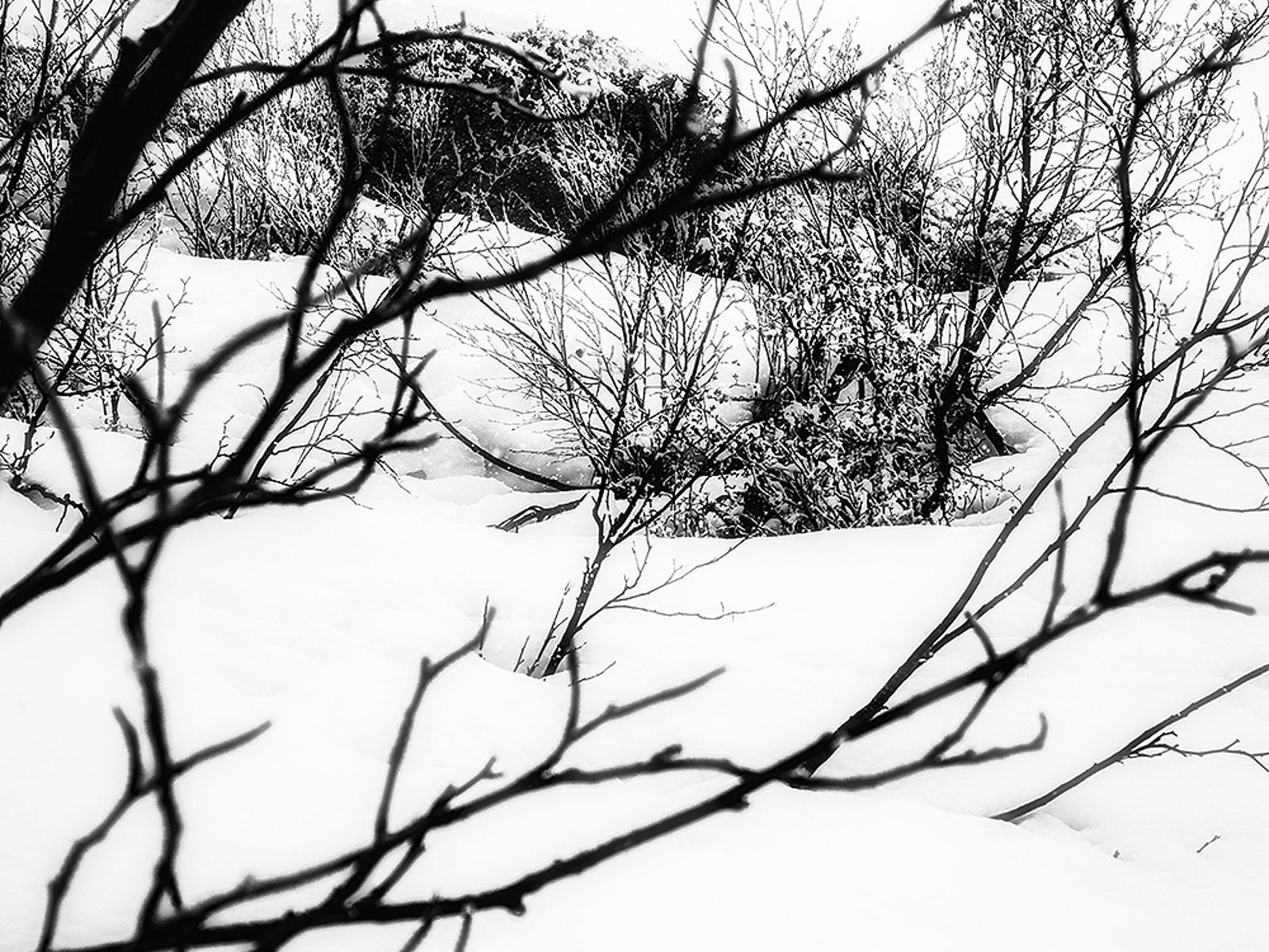 Julia-Baumgartner_Montafon-1.jpg