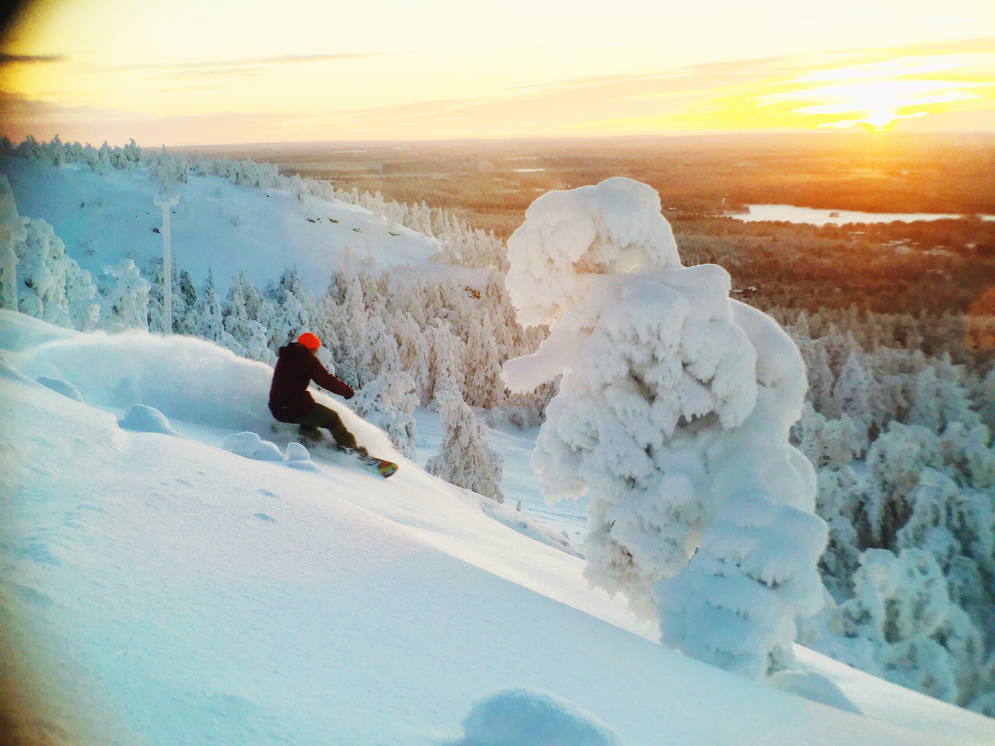 Tele Tonikerkelä