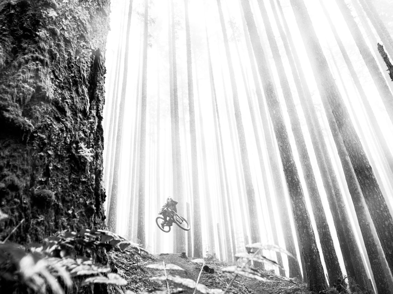 © Caleb Ely / Red Bull Illume