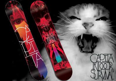 capita custom design snowboard CAPiTA Birds of a Feather 146 Snowboard with Parrot Design