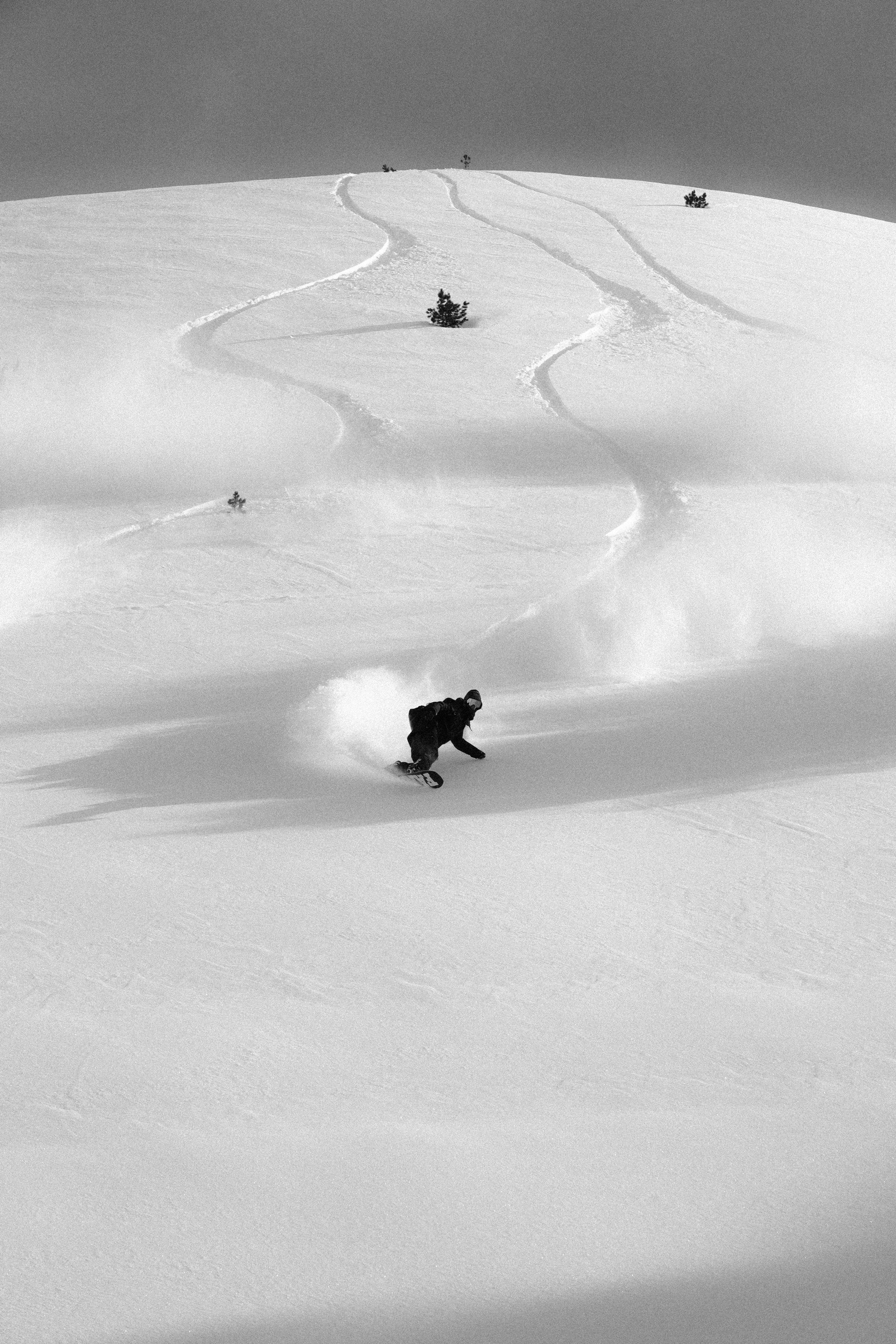 Fanatic_DominikBrunner_lines_WilliamSleigh.jpg