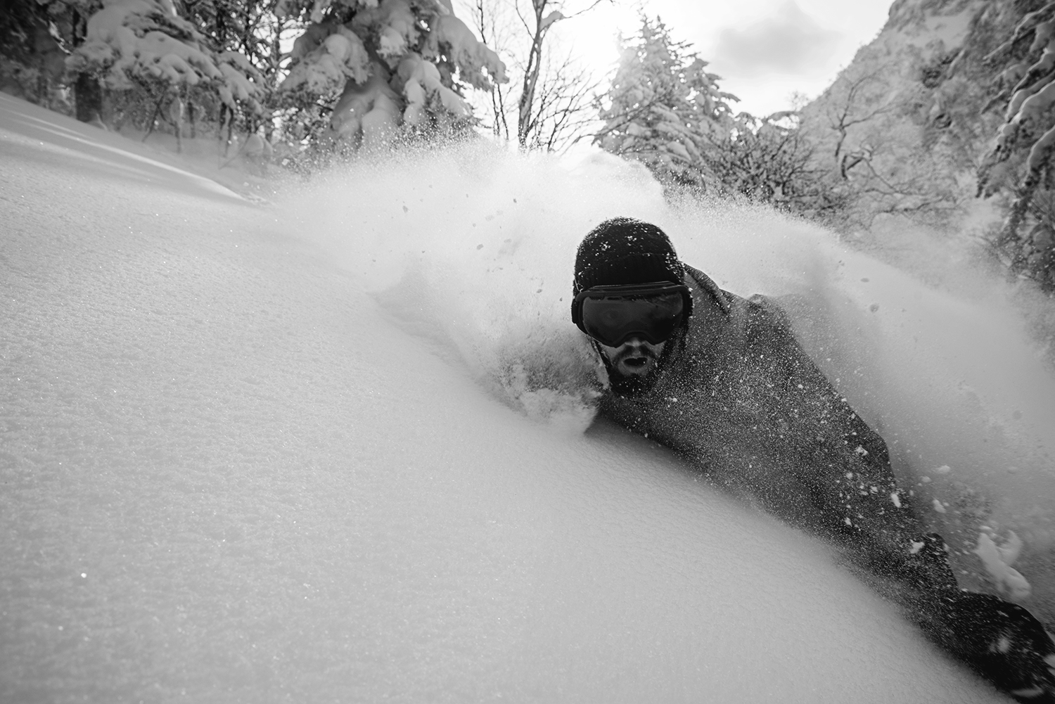 2336_KoruaShapes-Japan_February2016_PhotoAaronSchwartz_LowRes.jpg