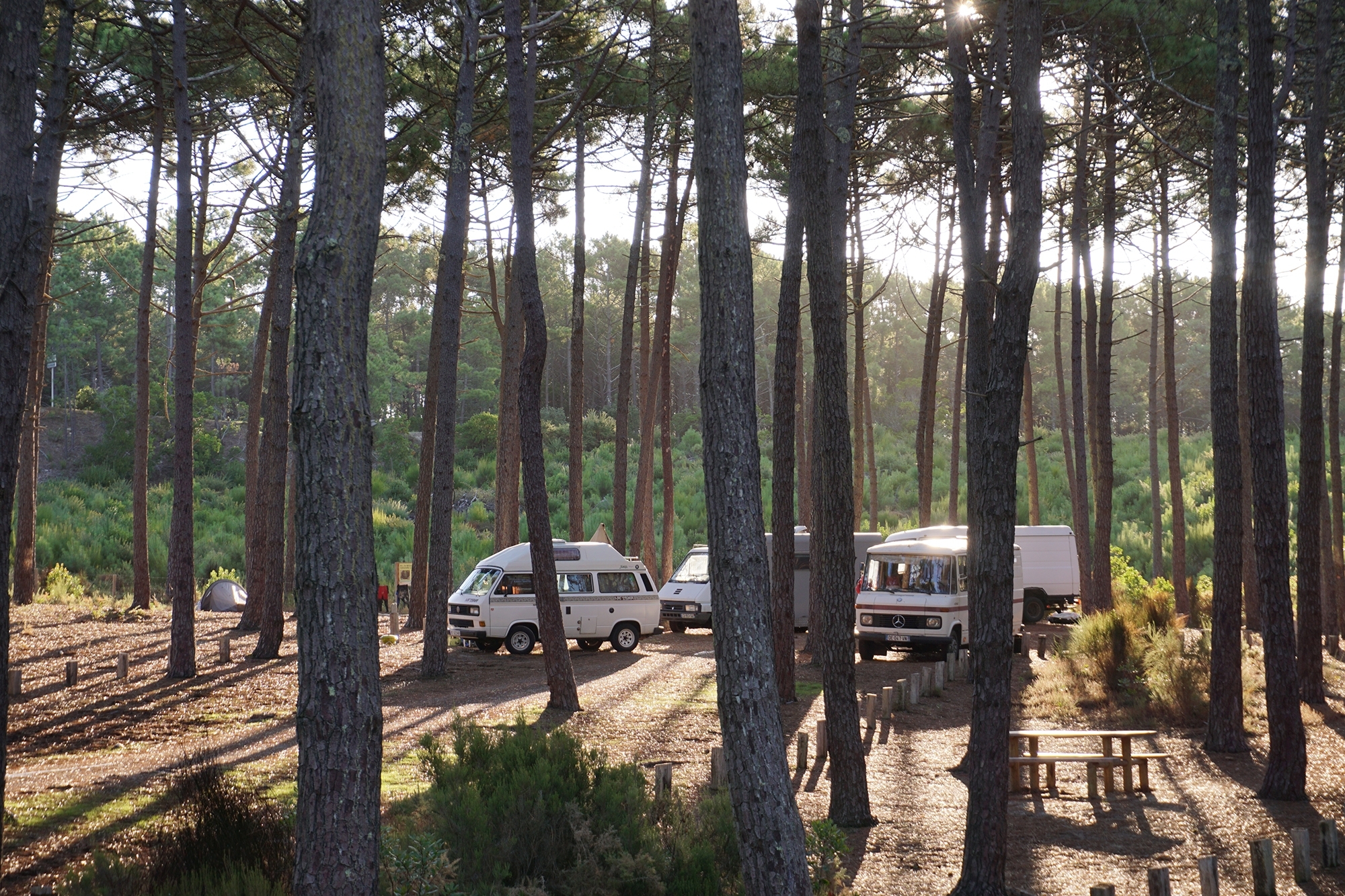 In France with a collection of vintage campers