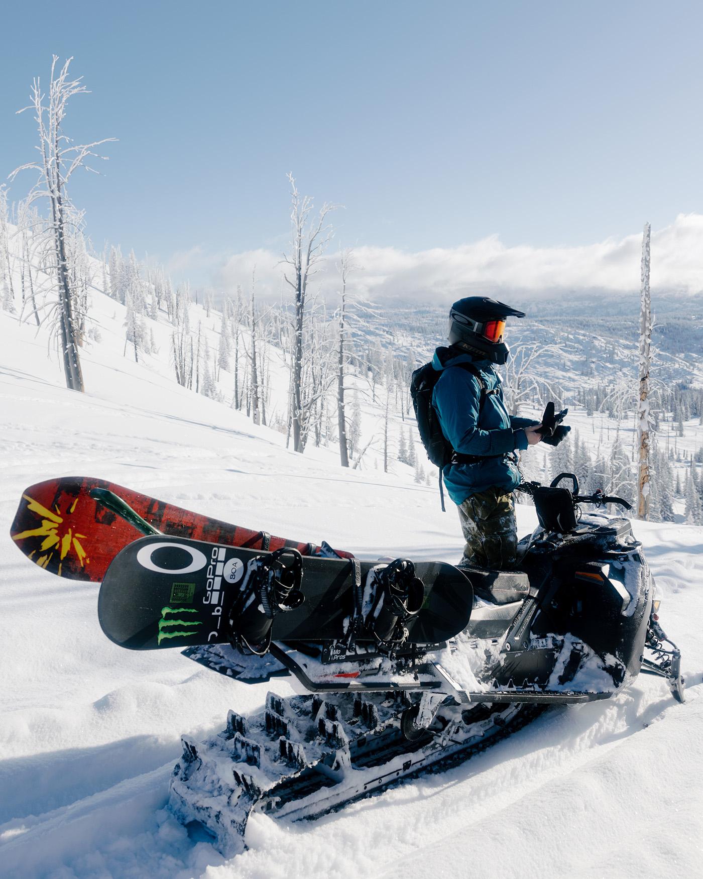 Sage admiring the view