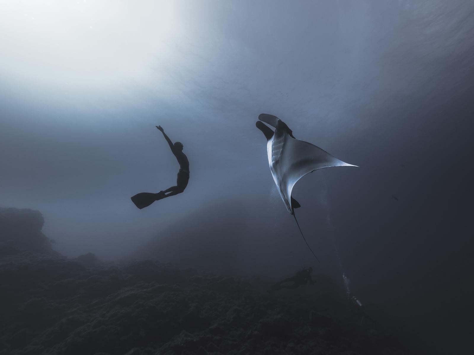 © Song Gang / Red Bull Illume
