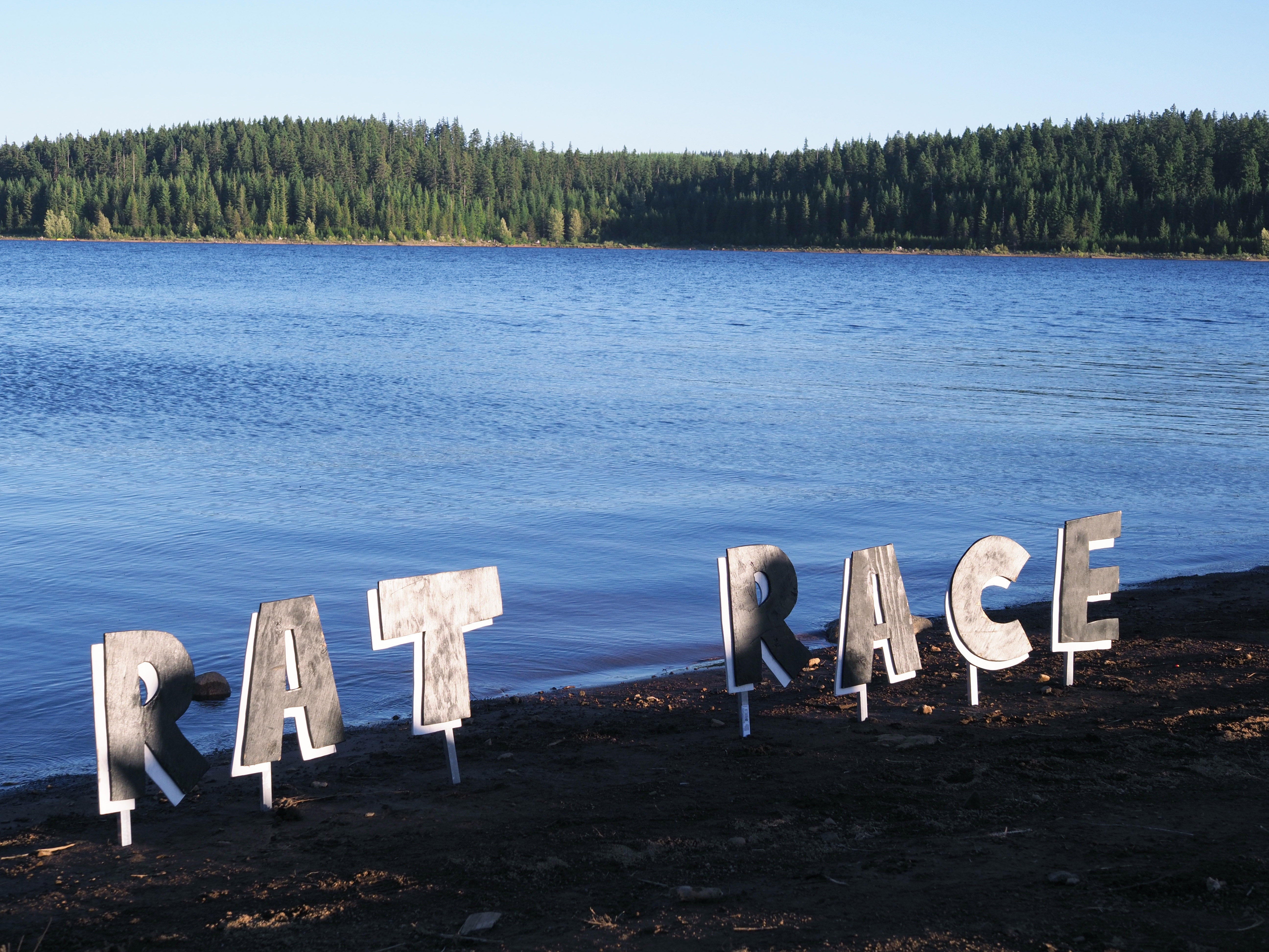 Rat race 2017 - sign lake use.jpg