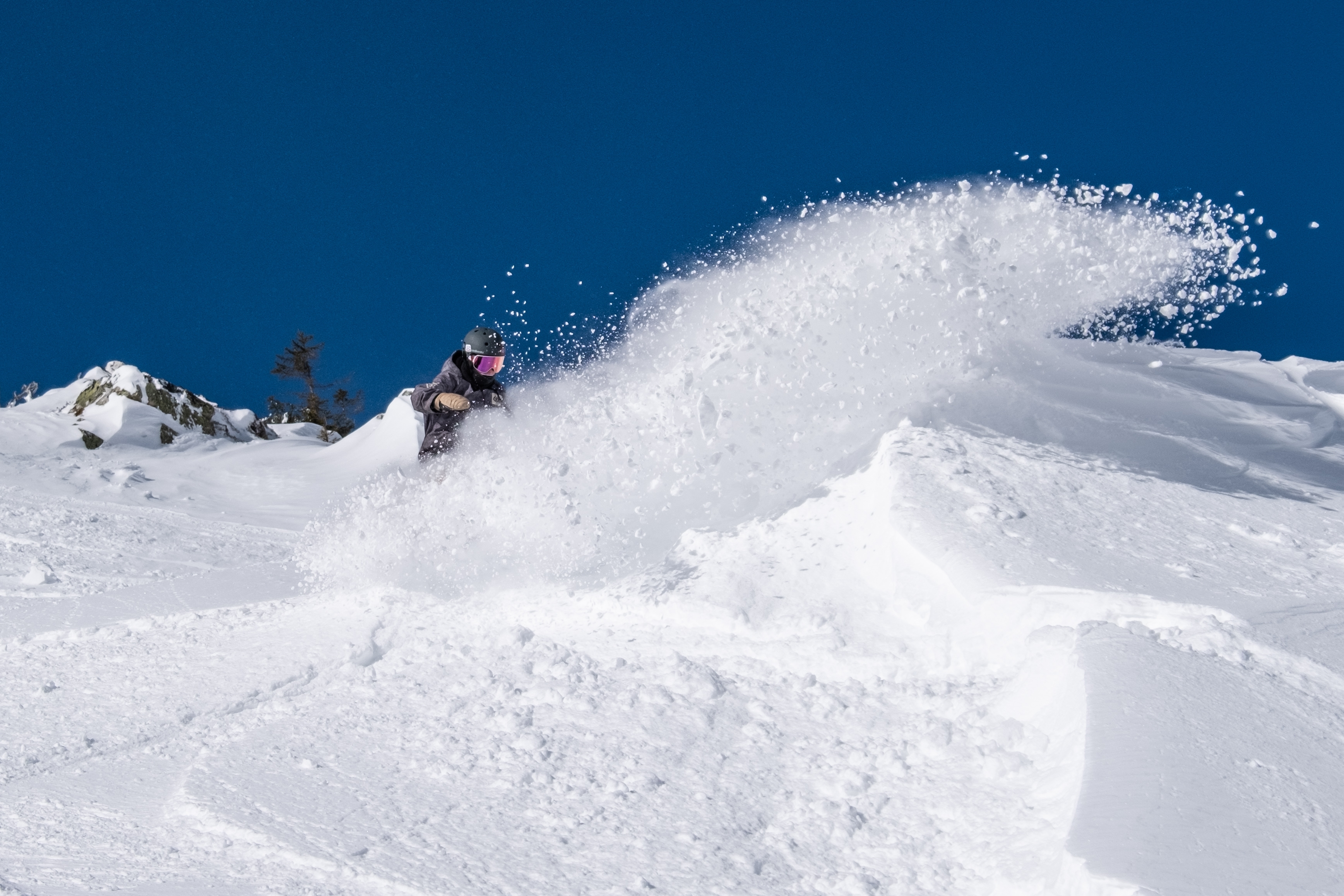9427_WillRadulaScott_VansHiStandardLaax.jpg